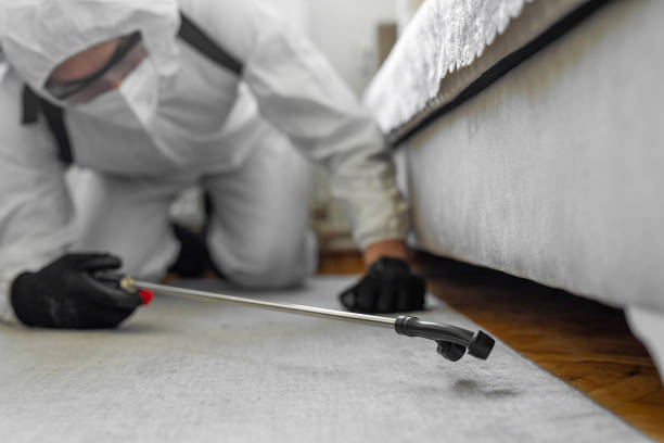 Professional Pest Control technician working in Alaska, AK
