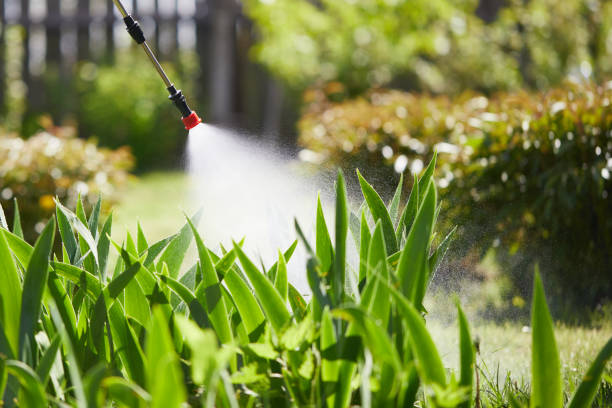 24/7 Emergency Pest Control experts in Alaska, AK